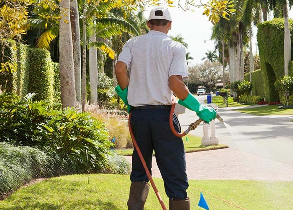 About Riesel TX Pest Control Pros
